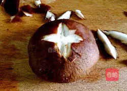 Seasonal Vegetable Steam Pot Chicken Recipe Illustration 5