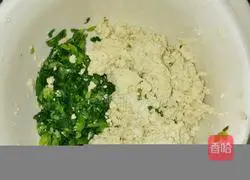 Illustration of how to make green vegetable and tofu dumplings 2