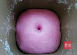 Flower Bread Recipe Illustration 6