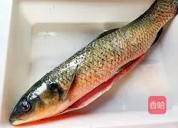 Illustration of how to make spicy fish with spicy sauce 1