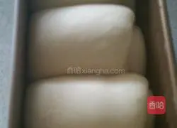 Illustration of how to make light butter toast 6