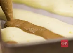 Cocoa two-color cake roll recipe 9