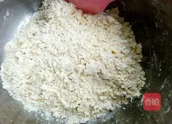 Whole wheat yogurt toast recipe 3