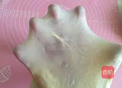 Illustration of how to make yogurt toast 7