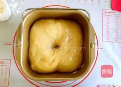 Coconut braided bread recipe 5