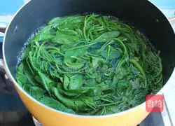 fruit Illustration of how to make spinach 2