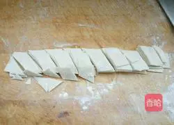 Large plate of fried chicken slices Illustration of how to do it 8