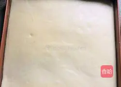 Cranberry Tiger Cake Roll Recipe Illustration 10