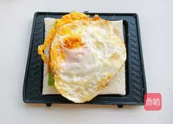 Cranberry Sandwich Recipe Illustration 7