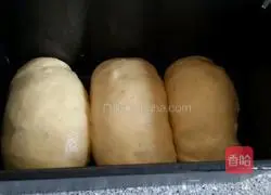 Toast Bread Recipe Illustration 7