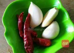 Illustration of how to make cold andrographis paniculata 2