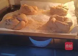 Illustration of how to make raisin garland bread (one-time fermentation) 12