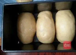 Toast Milk Bread Recipe Illustration 7