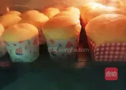 Hokkaido Cake( Cocoa Custard) Recipe Illustration 4