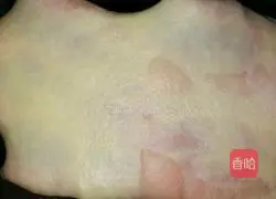 Illustration of how to make yogurt bread 3