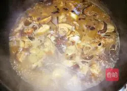 Invincible Braised Chicken Recipe Illustration 4