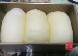 Illustration of making butter-free and sugar-free toast bread 11