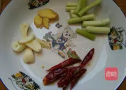 Illustration of braised mutton and carrots 4