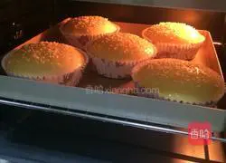 Illustration of how to make hamburger embryos (medium seeding method) 13