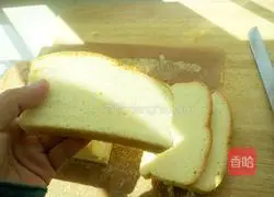 Lemon Light Cheese Recipe Illustration 19