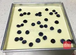 10-inch blueberry chiffon cake recipe 13