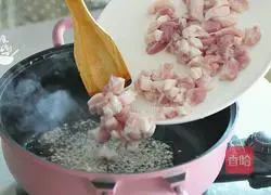 Illustration of Braised Pork Rice 6