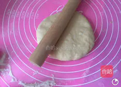 Ham and vegetable pizza, (bread machine dough) recipe 4
