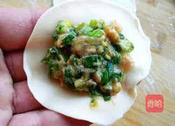 Pork and leek dumplings recipe 10