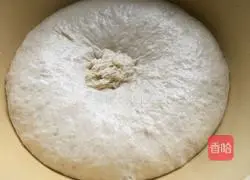 Homemade beef pizza recipe 4