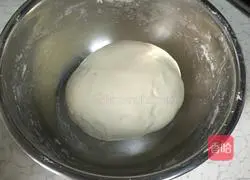 Papaya Pizza Recipe Illustration 1