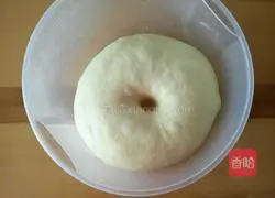 Pizza Illustration of making noodles 4