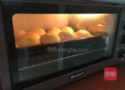 Whole wheat bread recipe 14