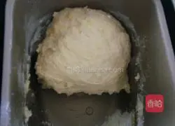 Illustration of homemade bread 2