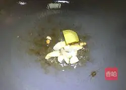 Illustration of how to make curry fish eggs 5