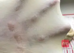 Illustration of how to make bean paste buns 5