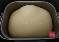 Pumpkin Illustration of how to make toast bread 5