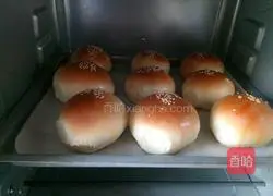 Honey mini Illustration of how to make bread 6