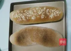 Whole wheat bread recipe 11
