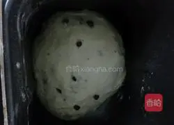 Blueberry Chocolate Filled Milk Bread Recipe Illustration 1