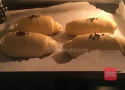 Japanese salt bread recipe 12