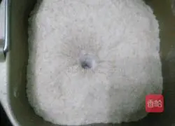 Whole wheat bread recipe 2