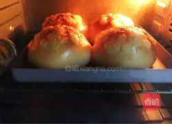 Emmental cheese bread recipe 20