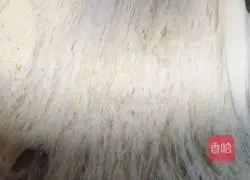 Hot dog buns recipe 4