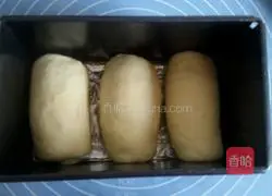 How to make original toast bread Illustration 13