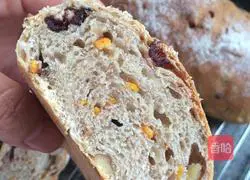 Walnut and cranberry soft European buns (medium seeding method) illustration 16