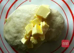 Illustration of how to make borscht bread 4