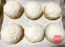 Whole wheat nut bread recipe 9