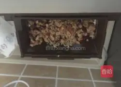 Whole wheat bread recipe 5