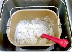 Oatmeal Apple Bread Recipe Illustration 6