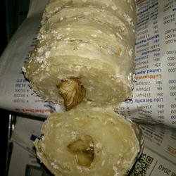 Walnut kernel worm bread